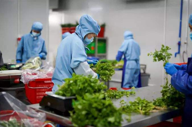 工廠(chǎng)食堂承包