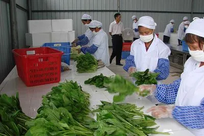 員工飯堂承包對企業(yè)有哪些好處？