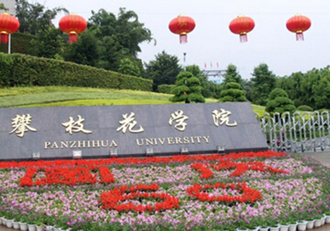 攀技花學(xué)院